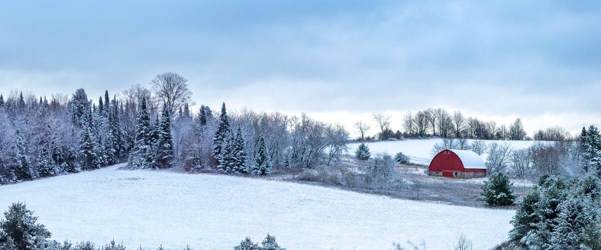 Old red barn next to a snow covered forest in a Wisconsin