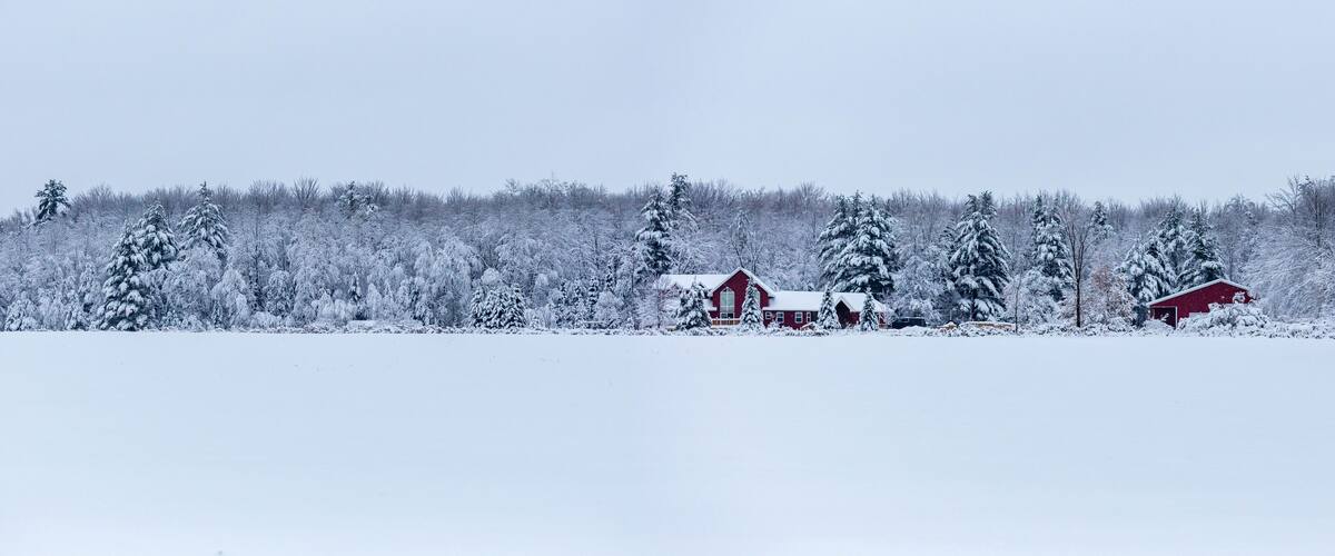 A snowy landscape with a red barn and a red shed.