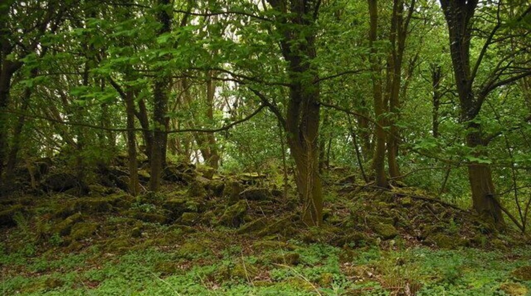 Ruins of Lauchope House Local tradition has it that the Laird of Muirhead was granted the lands of Lauchope for ridding the area of the 'robber giant' Bertram Shotts.
