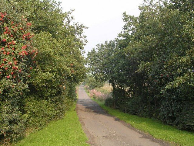 Track leading to Budshaw Farm.