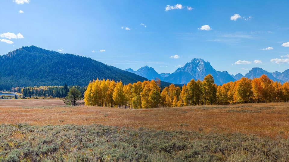 A mountainous landscape with autumn-colored trees and a clear blue sky.