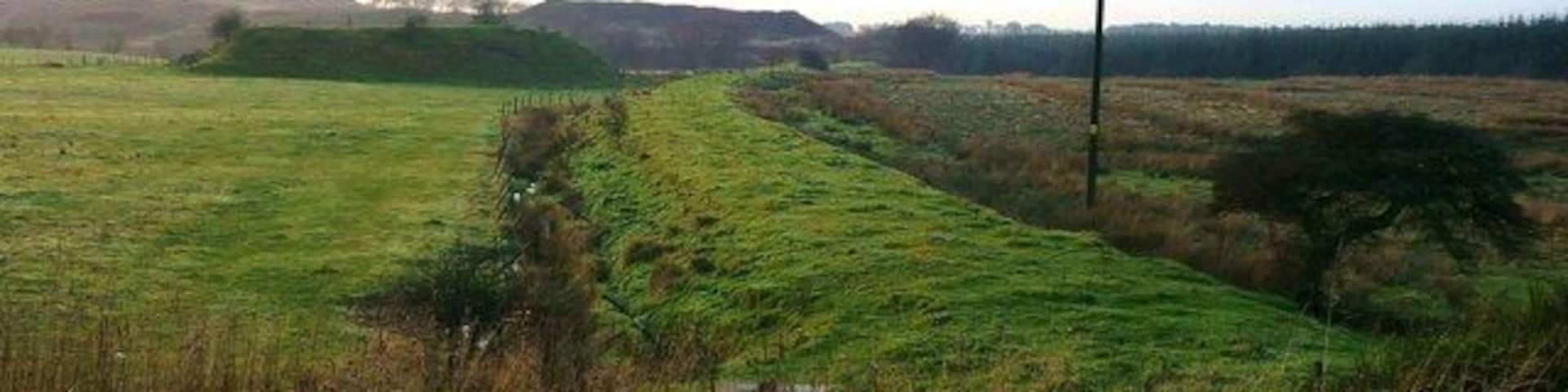Dismantled Railway by Rigghead Formerly part of the North Monkland Branch of N.B.R.'s Slamannan Line. The area is also littered with dozens of coal spoil heaps.