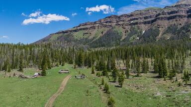 Rustic Cabin Structures in Pine Forest
