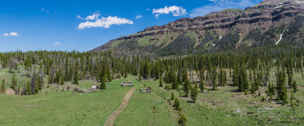 A mountainous landscape with a clear sky, a grassy valley, and a forested area with a dirt path.