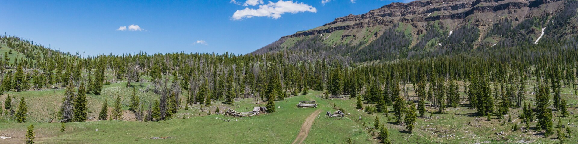 A mountainous landscape with a clear sky, a grassy valley, and a forested area with a dirt path.