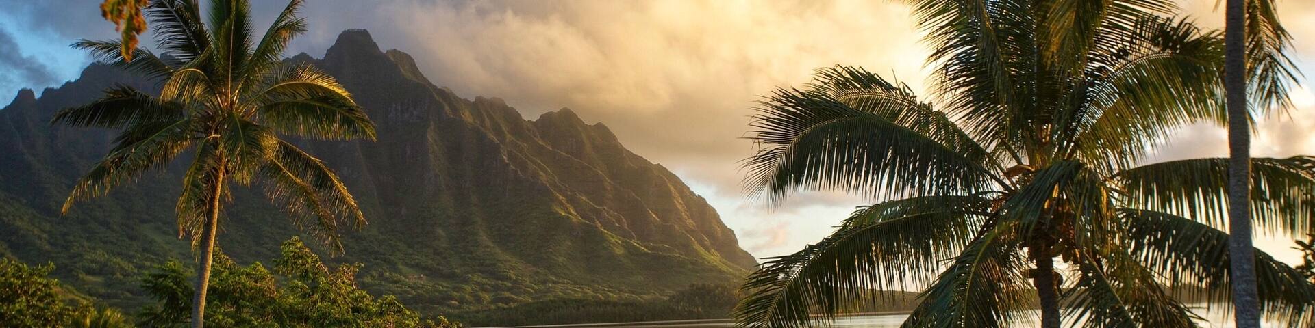 Sunrise east side Kahaluu Hawaii.
#☀️ #☁️ #🌊 #🌅 #👋 #⛰ #sky #landscape #water #clouds #summer #sea #travel #cloud #horizon #sun #tree #scenery #ocean #beach #coast #lake #vacation #scenic #sunny #reflection #nature #travel #instagood #summer #green