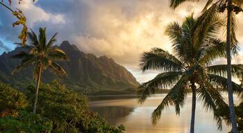 Sunrise east side Kahaluu Hawaii.
#☀️ #☁️ #🌊 #🌅 #👋 #⛰ #sky #landscape #water #clouds #summer #sea #travel #cloud #horizon #sun #tree #scenery #ocean #beach #coast #lake #vacation #scenic #sunny #reflection #nature #travel #instagood #summer #green
