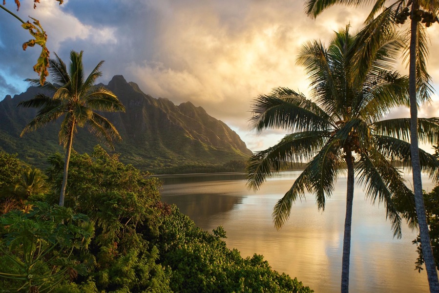Sunrise east side Kahaluu Hawaii.
#âïž #âïž #đ #đ
#đ #â° #sky #landscape #water #clouds #summer #sea #travel #cloud #horizon #sun #tree #scenery #ocean #beach #coast #lake #vacation #scenic #sunny #reflection #nature #travel #instagood #summer #green