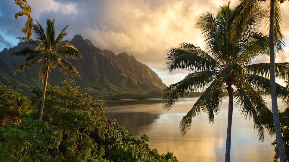 Sunrise east side Kahaluu Hawaii.
#☀️ #☁️ #🌊 #🌅 #👋 #⛰ #sky #landscape #water #clouds #summer #sea #travel #cloud #horizon #sun #tree #scenery #ocean #beach #coast #lake #vacation #scenic #sunny #reflection #nature #travel #instagood #summer #green