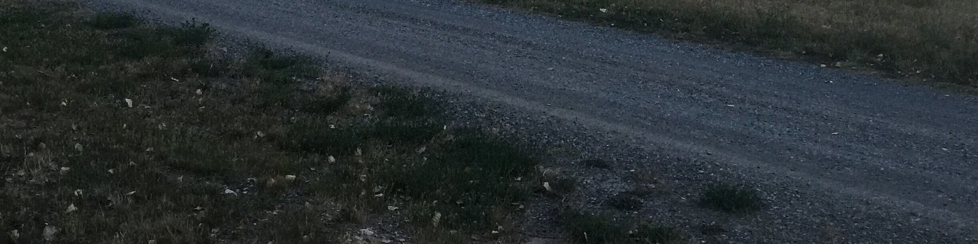 No filter needed! Here is the sunset from last night.