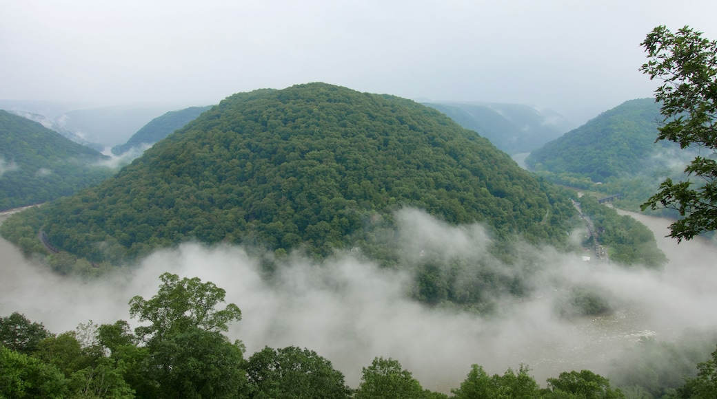 Horseshoe Bend at New River Gorge National Park