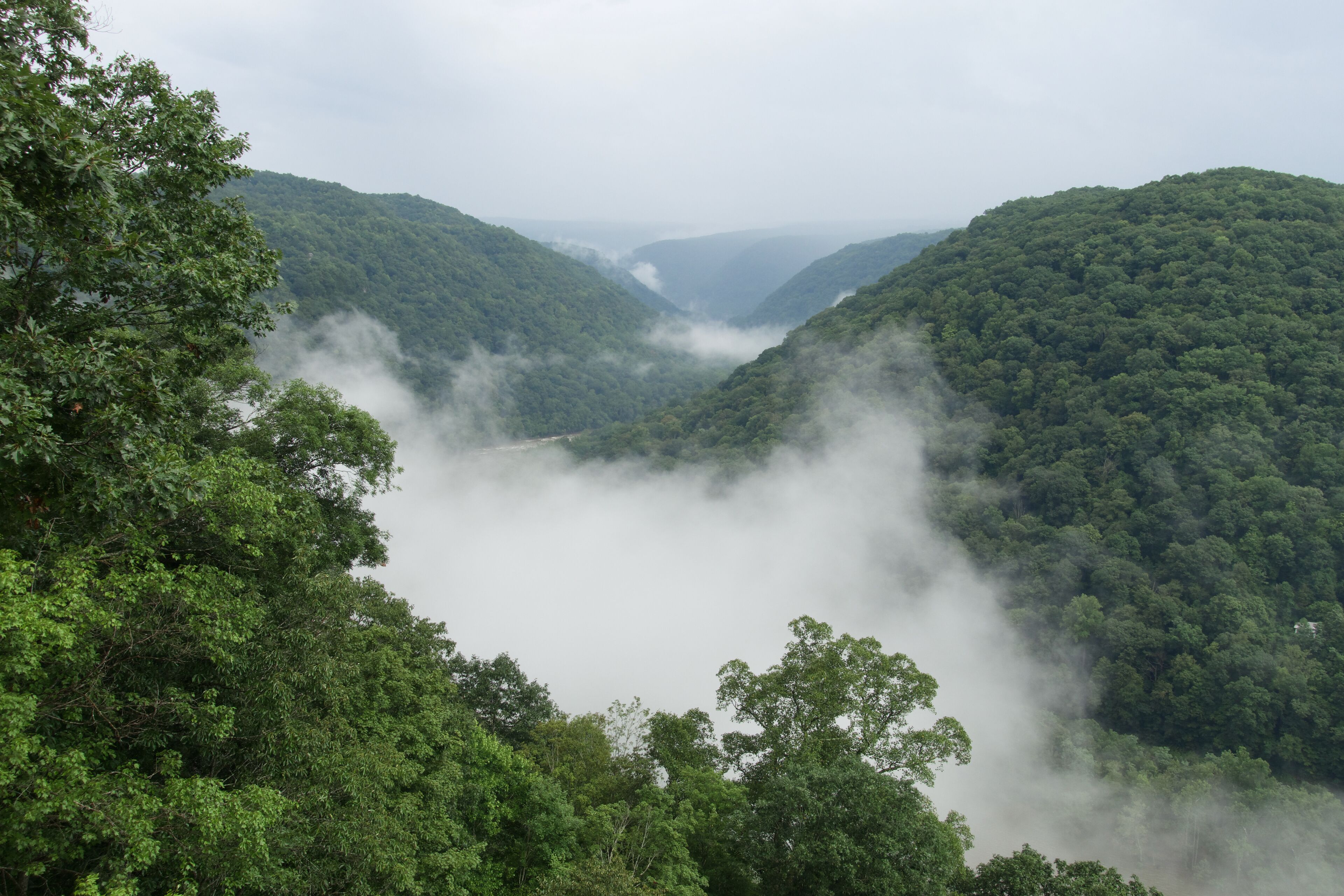 Horseshoe Bend at New River Gorge National Park