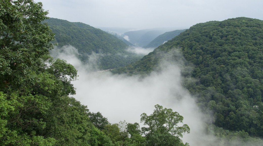 Horseshoe Bend at New River Gorge National Park