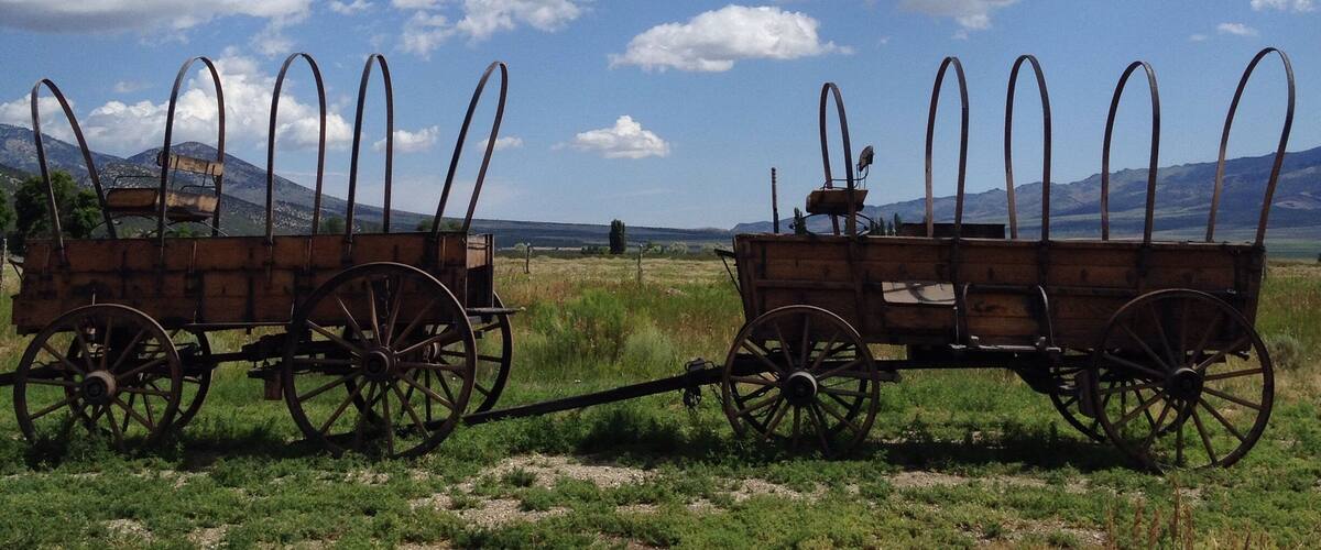 Two old wooden carts with large wheels and curved metal bars on a grassy field under a partly cloudy sky.