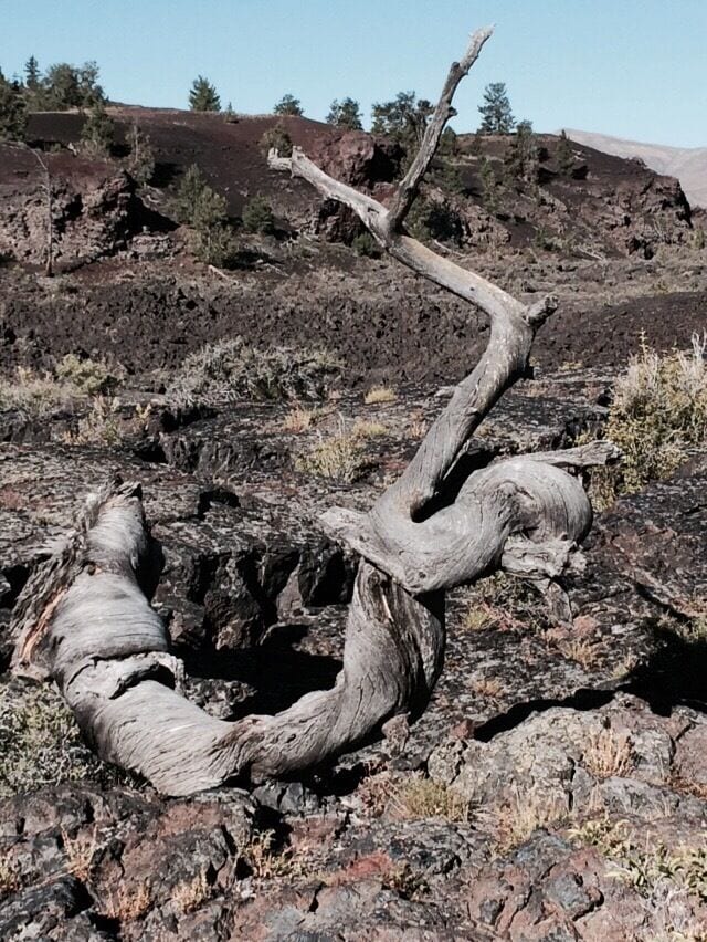 We were able to spend a couple of hours at this park today. I wish we had more time to explore more of the caves. I will be going back some day. 
