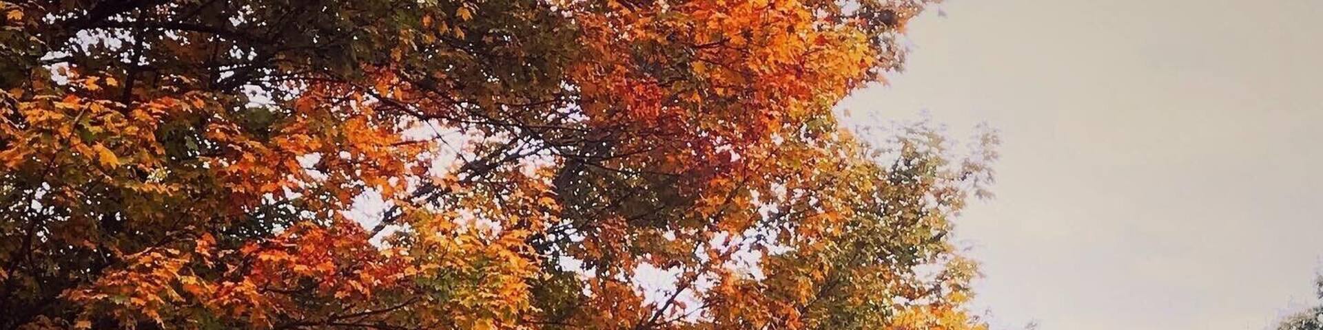 Our beautiful Autumn in Johnstown, Pennsylvania #Trovember