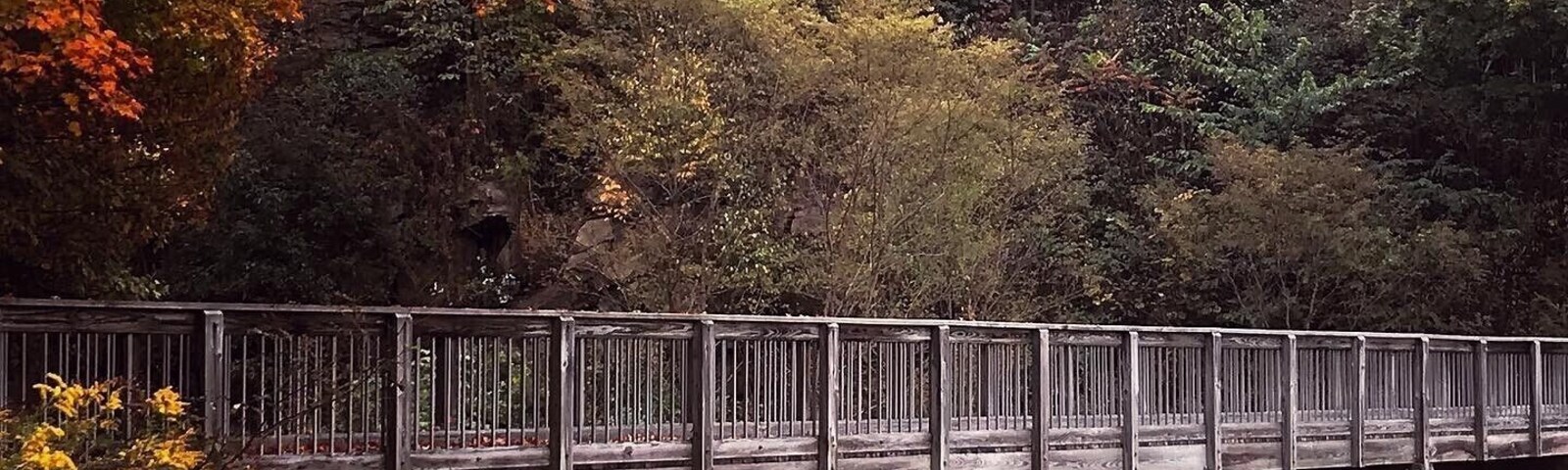 Our beautiful Autumn in Johnstown, Pennsylvania #Trovember