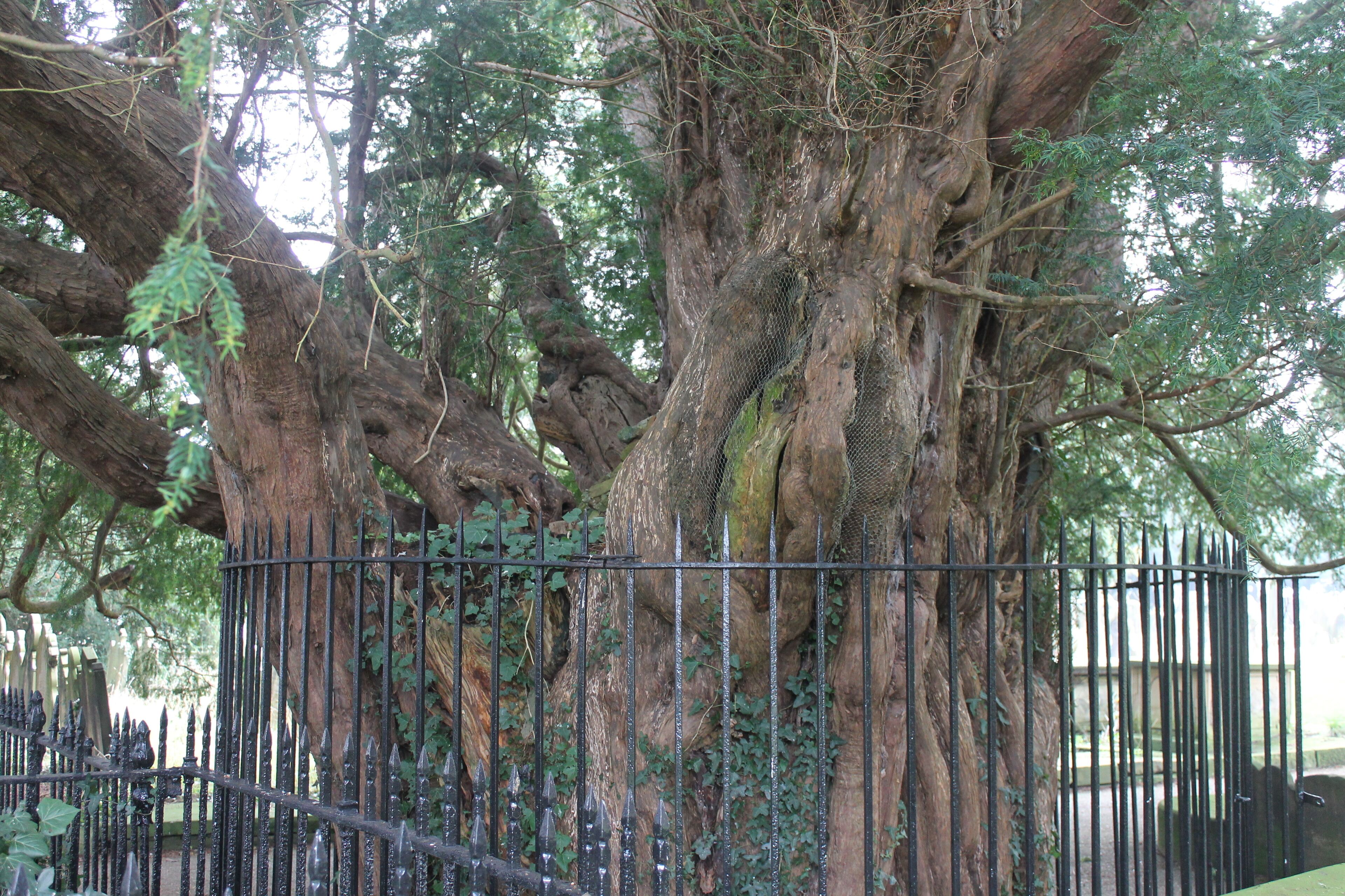 This is a photo of listed building number