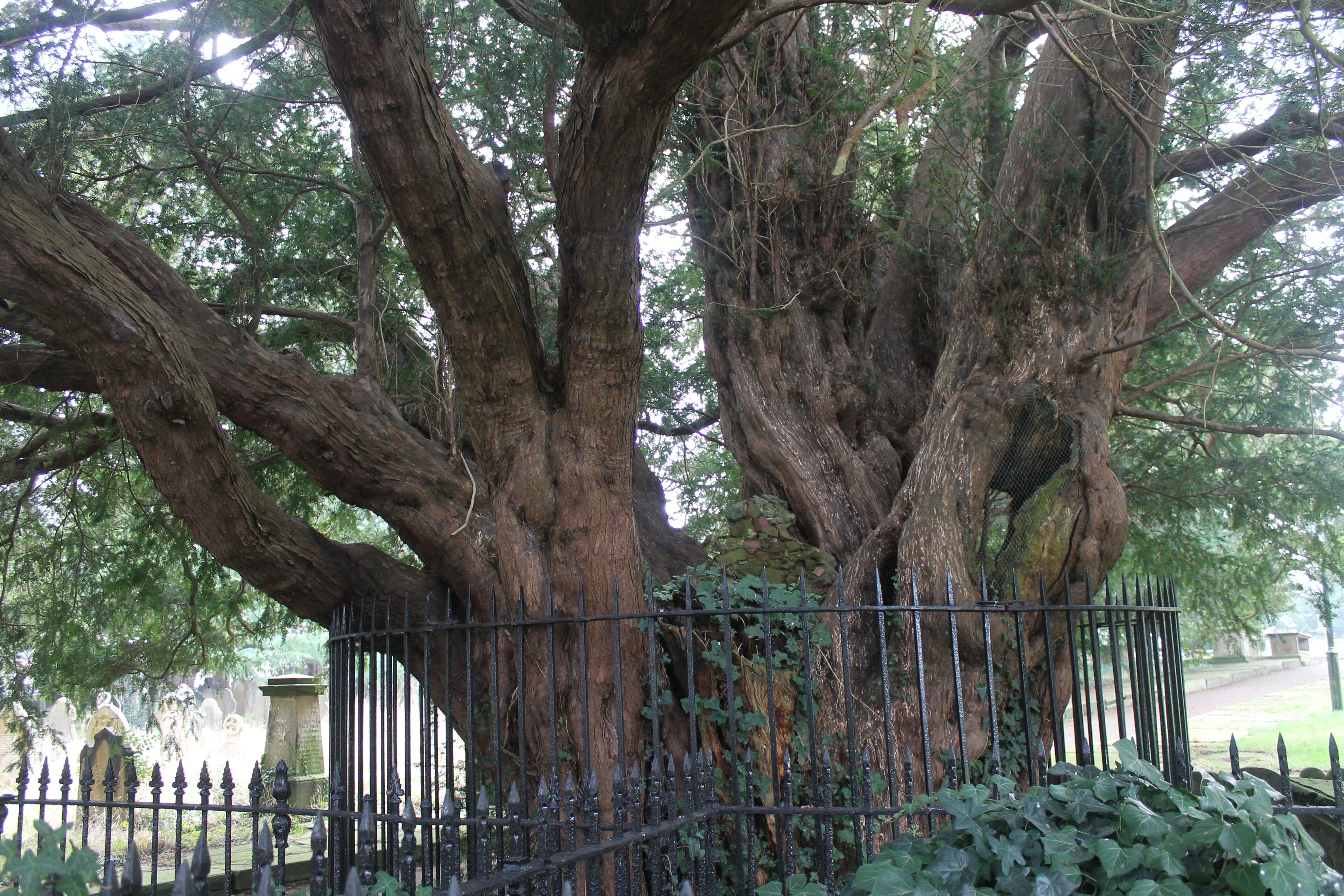 This is a photo of listed building number