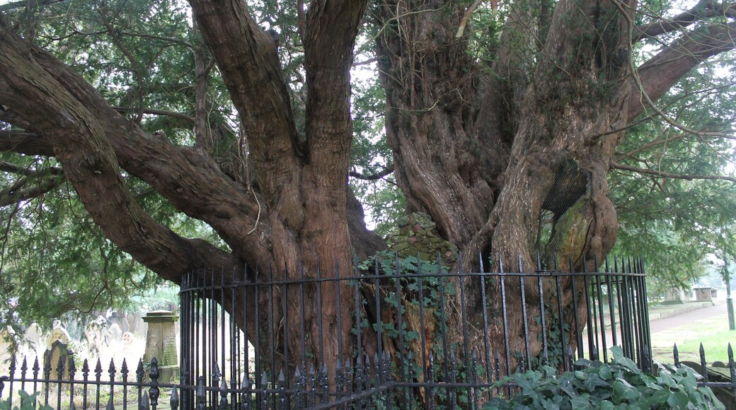 This is a photo of listed building number