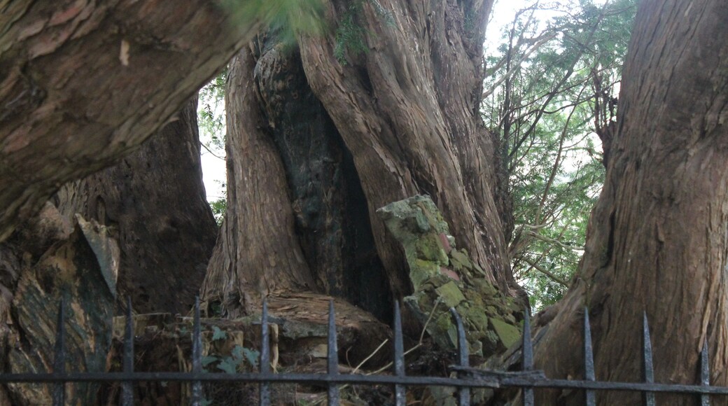 This is a photo of listed building number