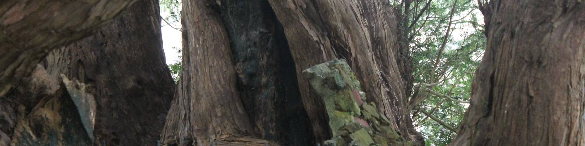 This is a photo of listed building number