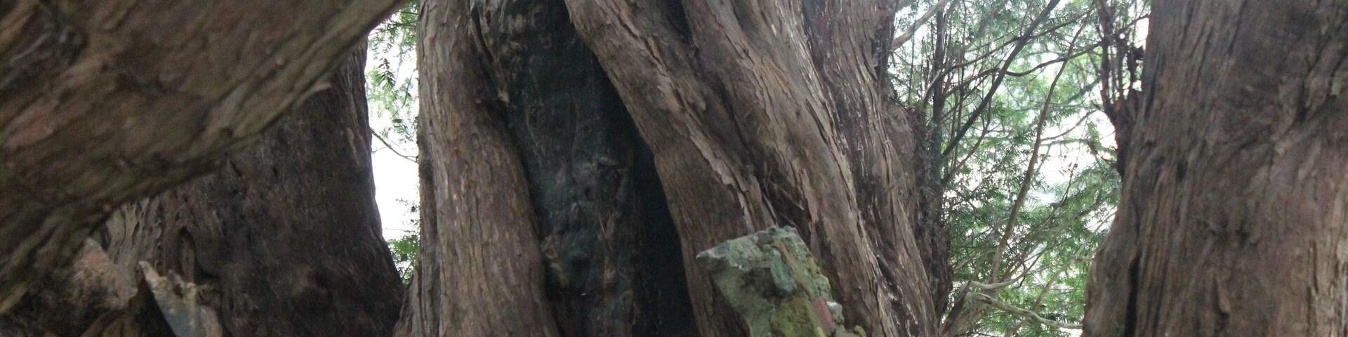 This is a photo of listed building number