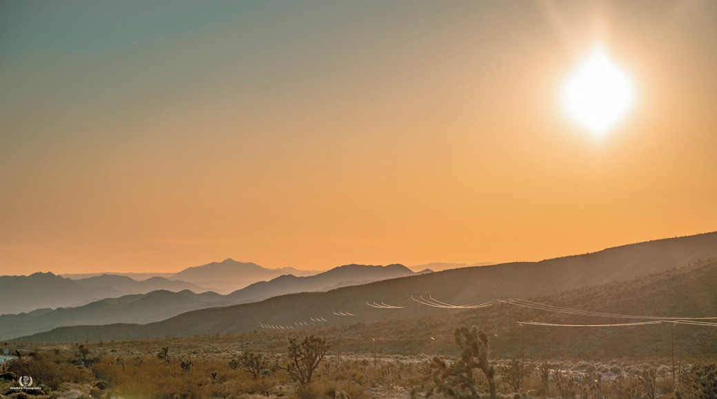 #Road #sunset #quite