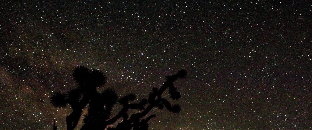 Last night I had an opportunity to watch the Milky Way rise up over the Yucca Trees in the Mojave Desert. Also in view was Jupiter, the largest and brightest “dot” in the image. Now excuse me while I go take a nap… It was a late night!
#california #stars #milkyway #desert #night