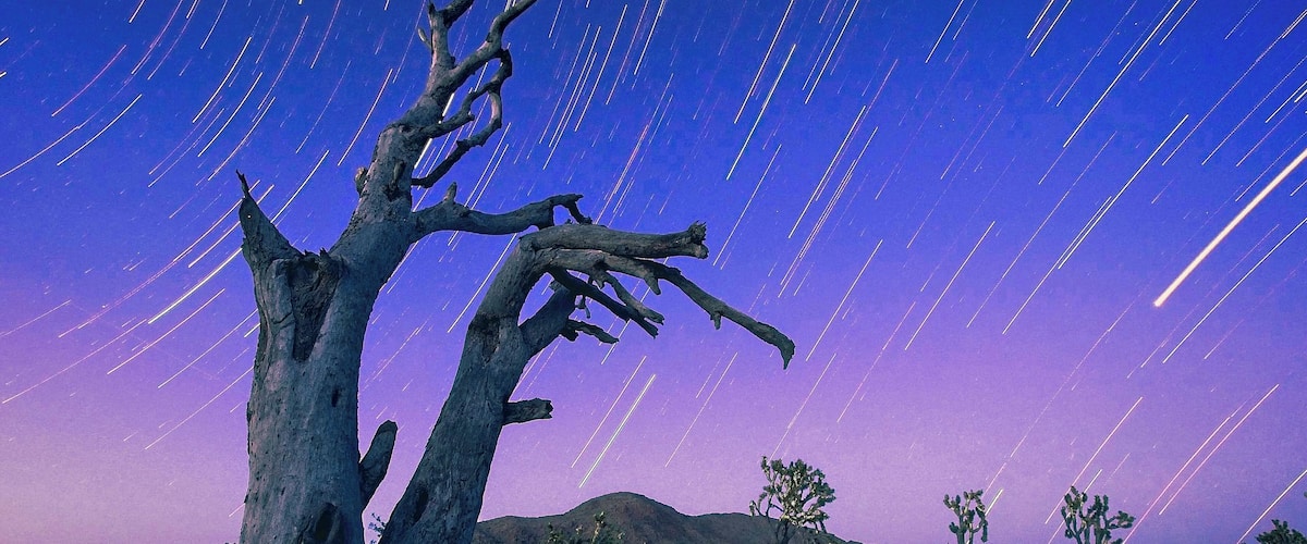 At twilight, when the sun sets for the day, the stars come out to play!
#california #desert #stars #night #longexposure