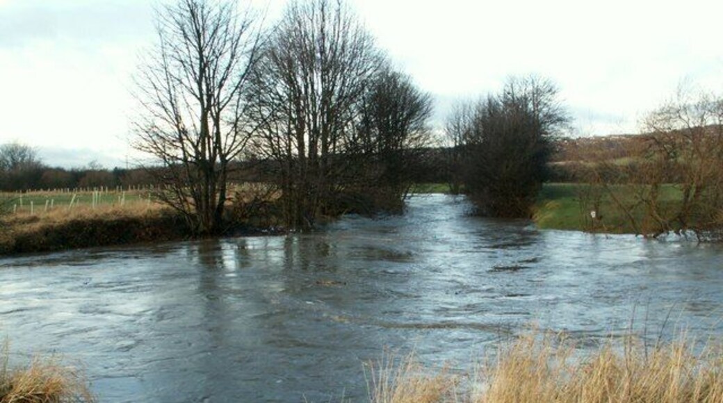 The River Dearne below Barugh Bridge After prolonged rain fall.