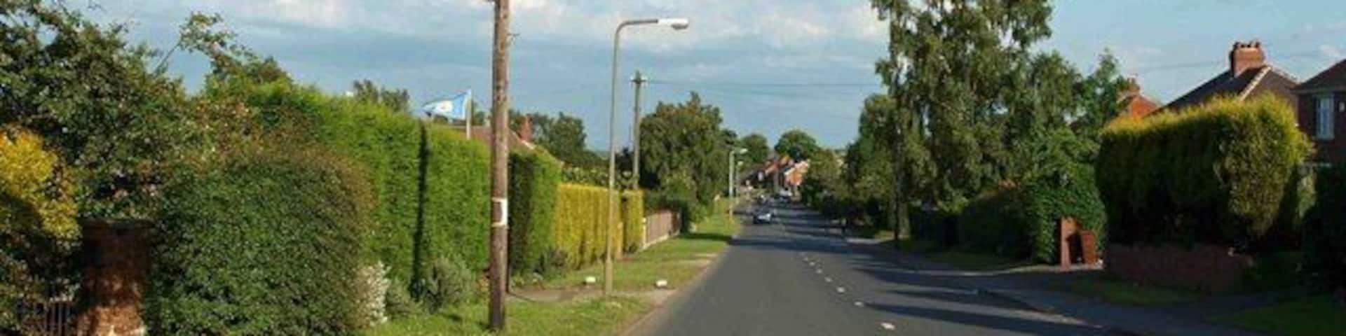 Staincross Common If you look carefully a Yorkshire flag flying in the garden can be seen on the left foreground.