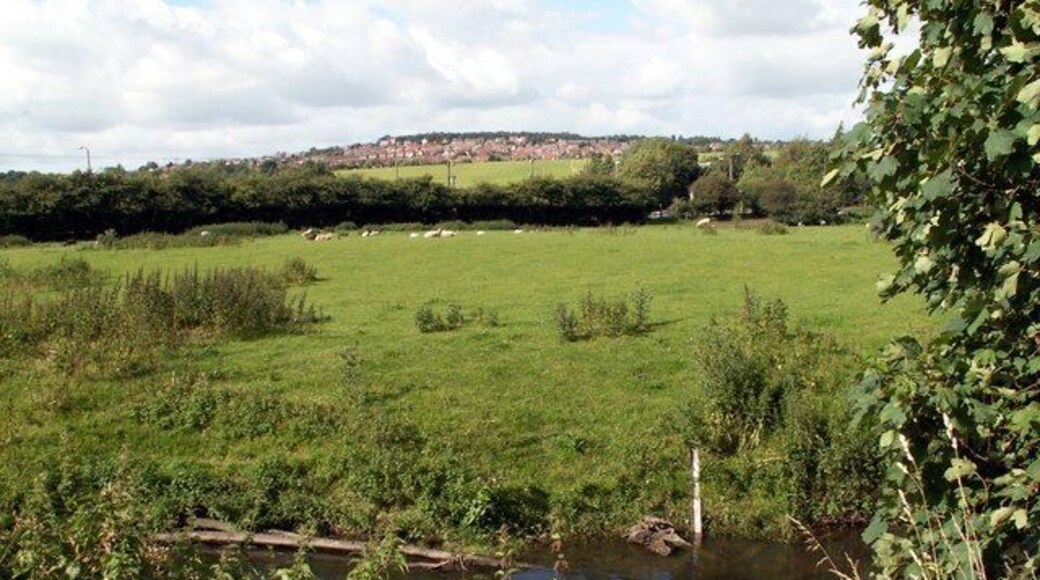 Looking to Darton Lane from the River Dearne
