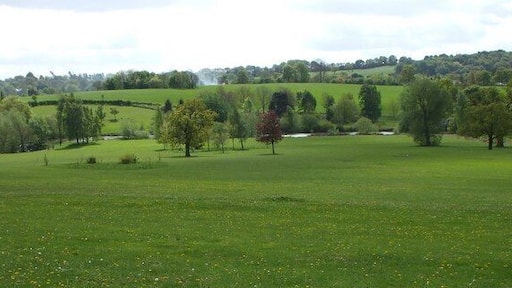 Trees and Grass in Cannon Hall Country Park Looking back towards Cawthorne.