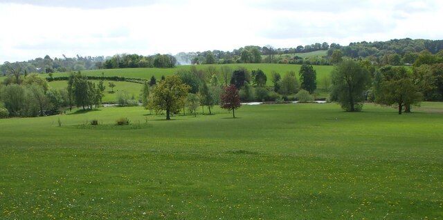 A green field with scattered trees and a distant hill.