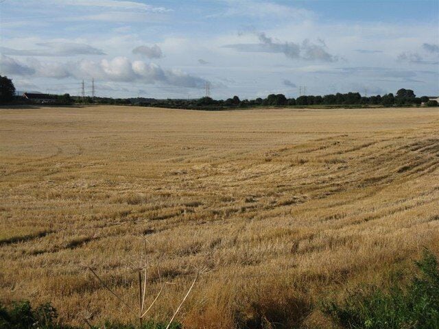 A vast, open field with dry grass, a clear sky, and distant power lines.
