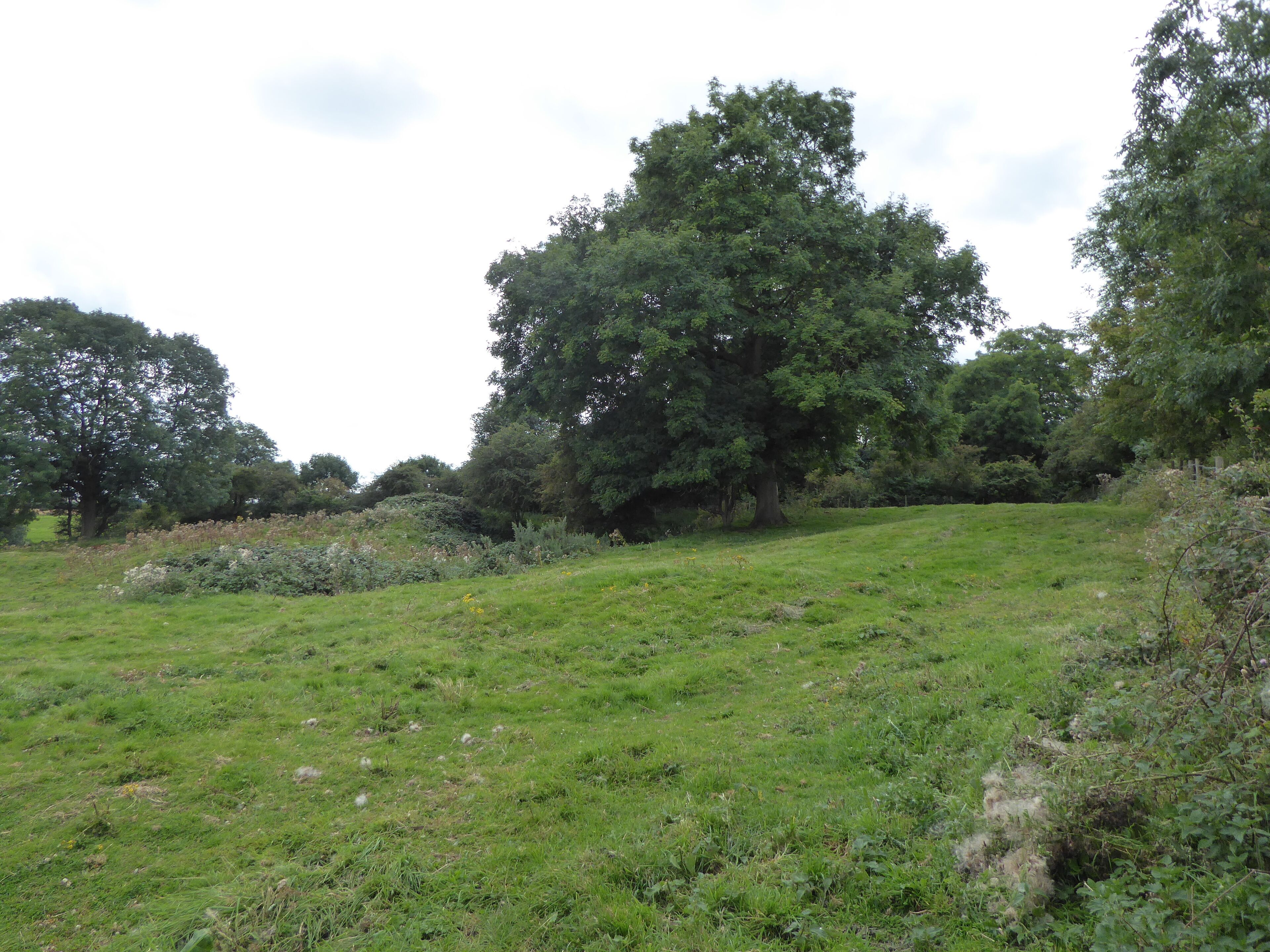 Terrace Hill Pasture is a biological Site of Special Scientific Interest north of Eastwell in Leicestershire.