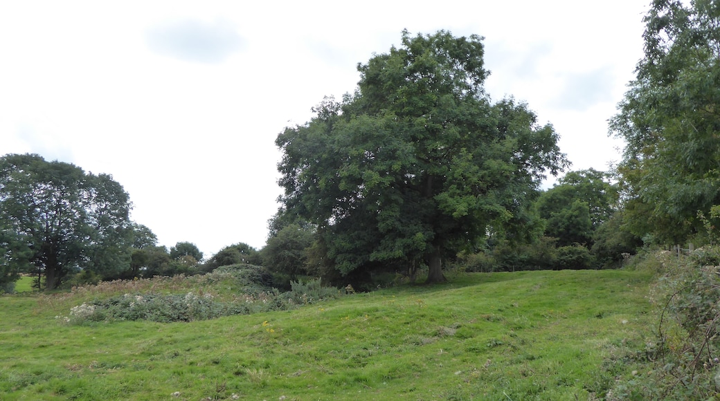 Terrace Hill Pasture is a biological Site of Special Scientific Interest north of Eastwell in Leicestershire.