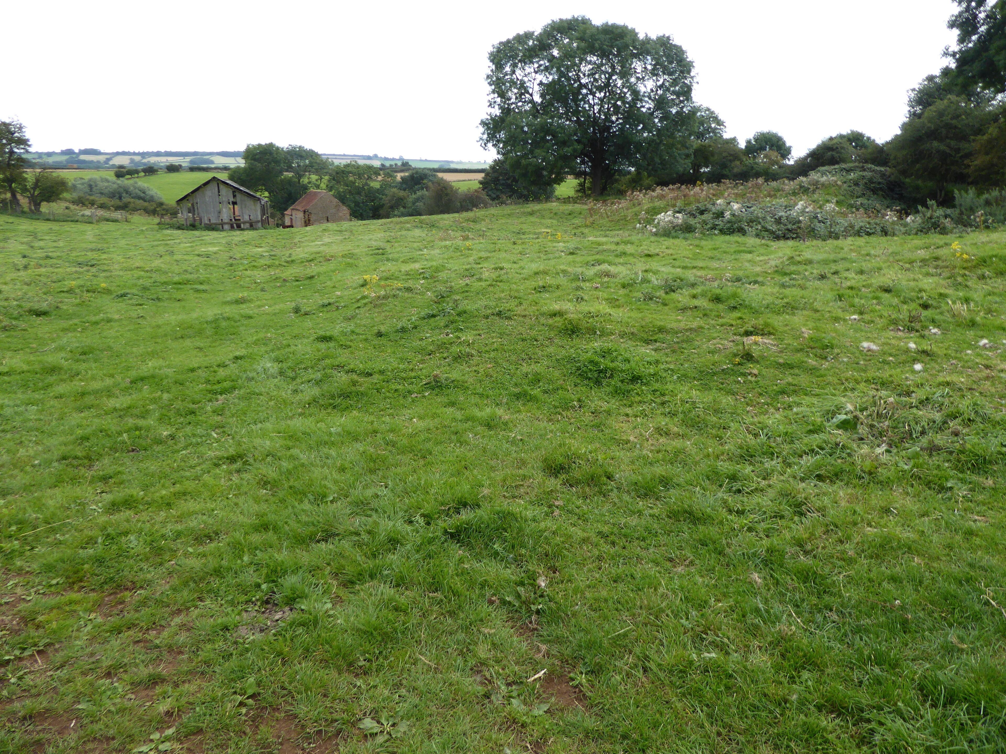 Terrace Hill Pasture is a biological Site of Special Scientific Interest north of Eastwell in Leicestershire.