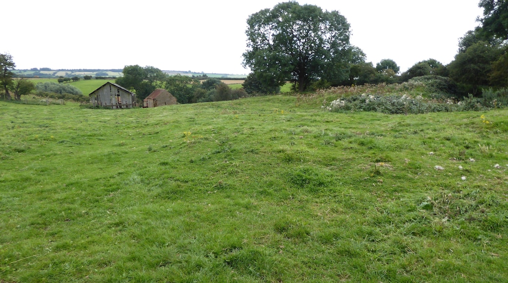 Terrace Hill Pasture is a biological Site of Special Scientific Interest north of Eastwell in Leicestershire.