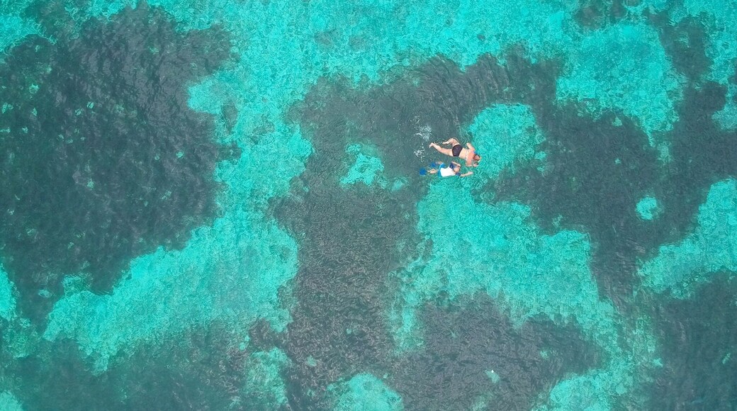 Kalanggaman Island in the Phillippines. Beautiful place, Mom and son out snorkeling
#BVSBlue