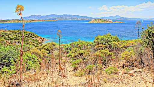 07024 La Maddalena, Province of Olbia-Tempio, Italy