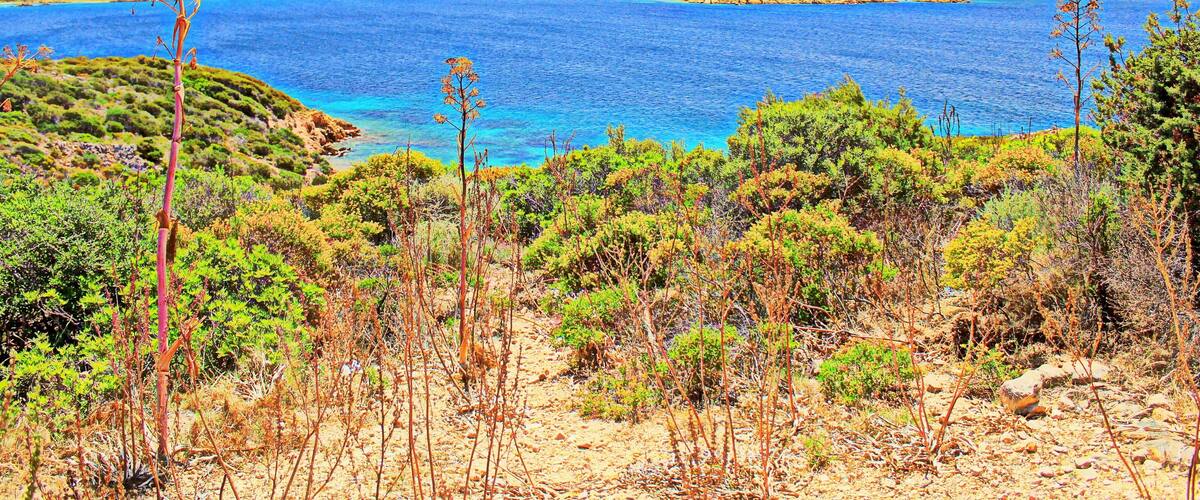 A coastal landscape with a clear blue sea, green vegetation, and distant mountains.