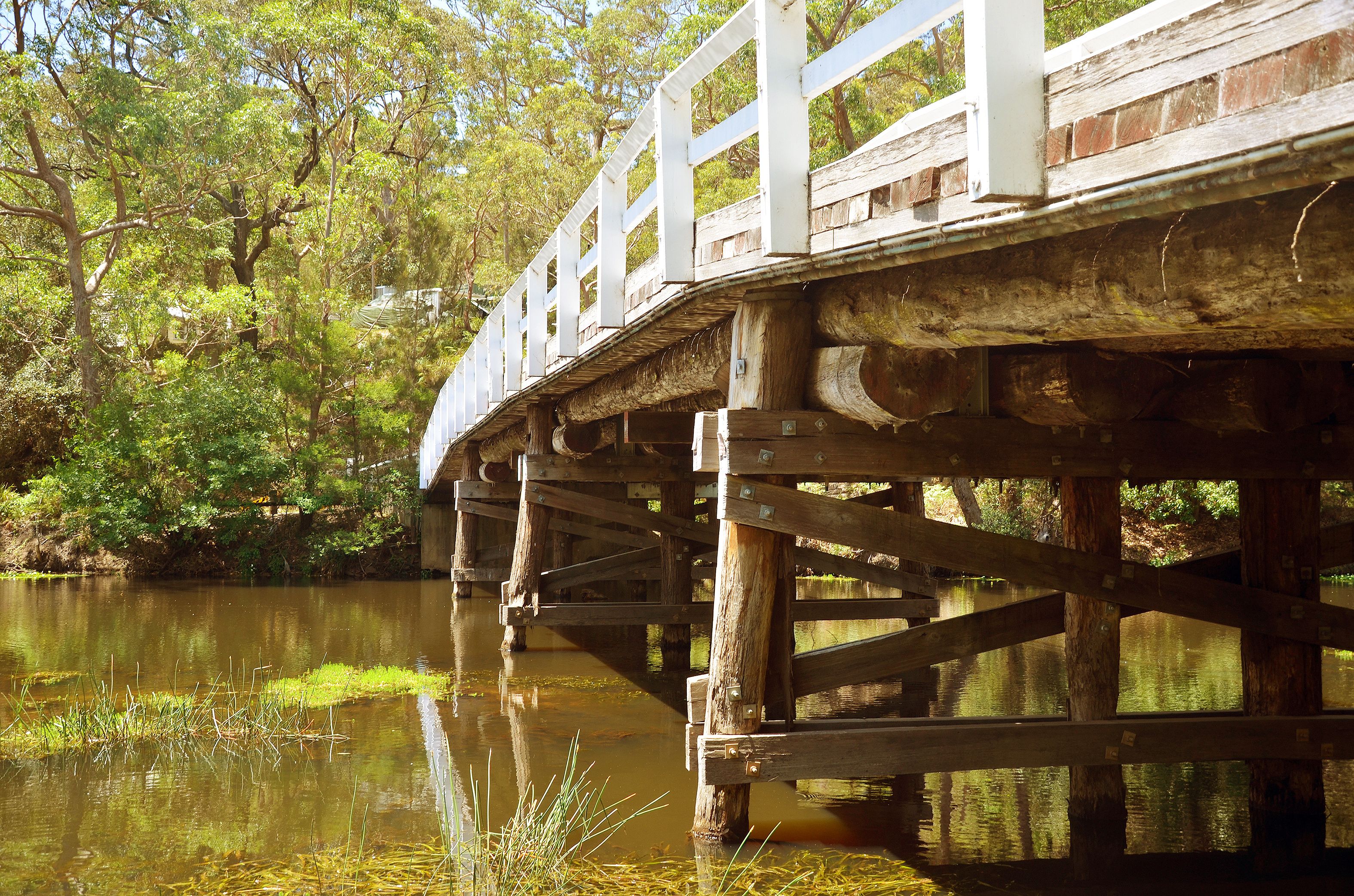 Un pont en bois enjambant une rivière paisible, entouré de verdure.