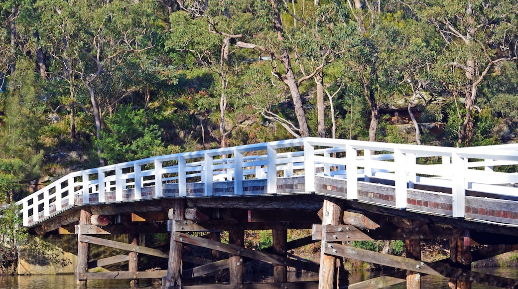 Un pont en bois enjambant une rivière paisible, entouré d’une forêt dense.