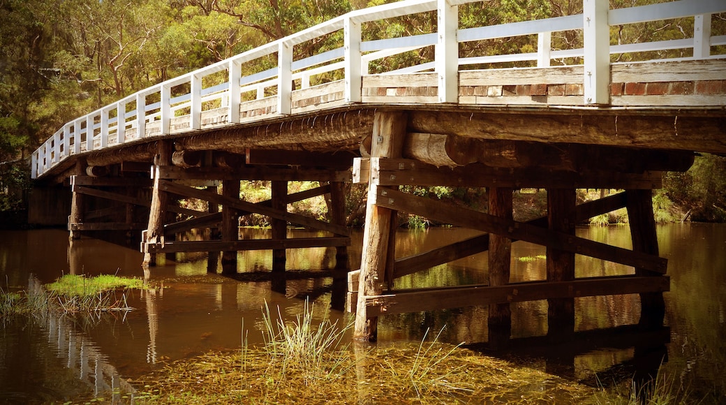 Un pont en bois, doté de rampes blanches, enjambe une rivière paisible, le tout étant entouré d’une végétation luxuriante.