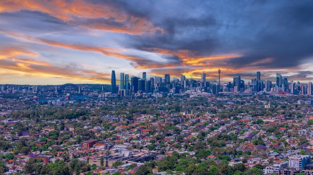 Winston Hills