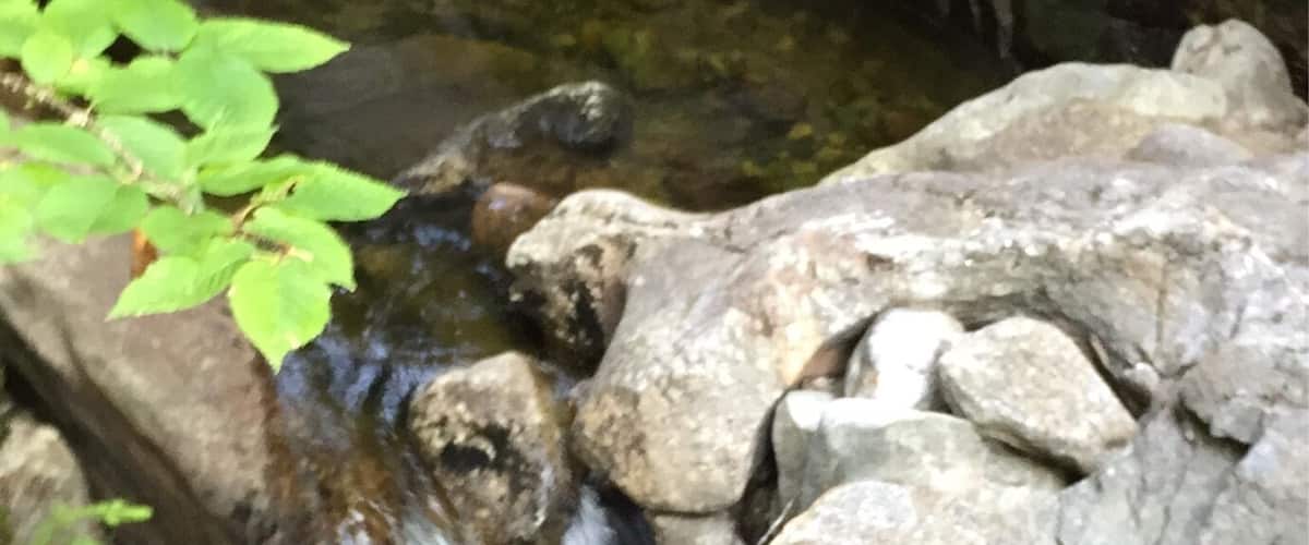 A small waterfall flowing over rocks in a rocky stream.