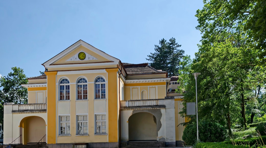 Provincia de Montana