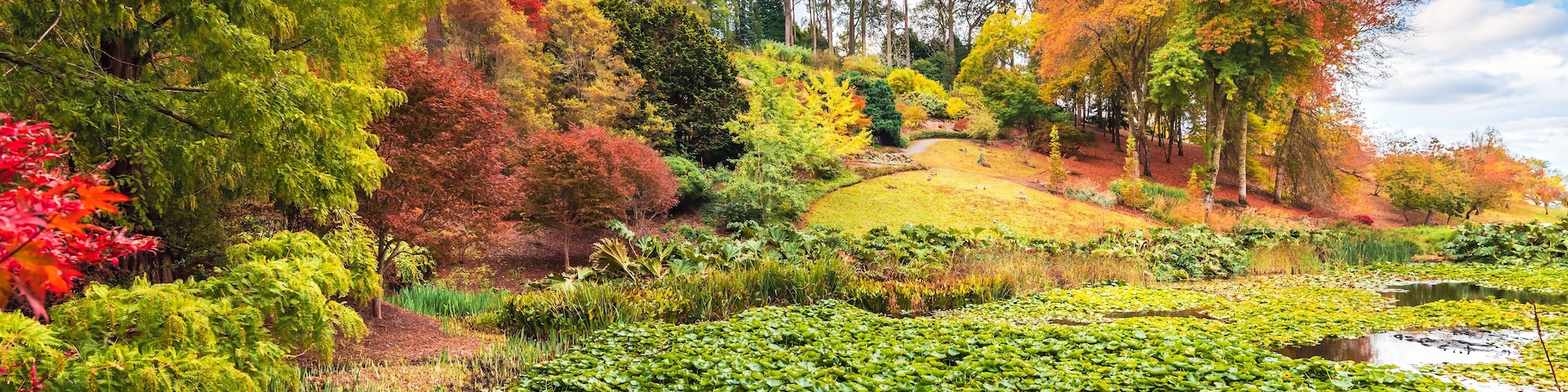 A lush garden with a pond, various trees, and a hill in the background.